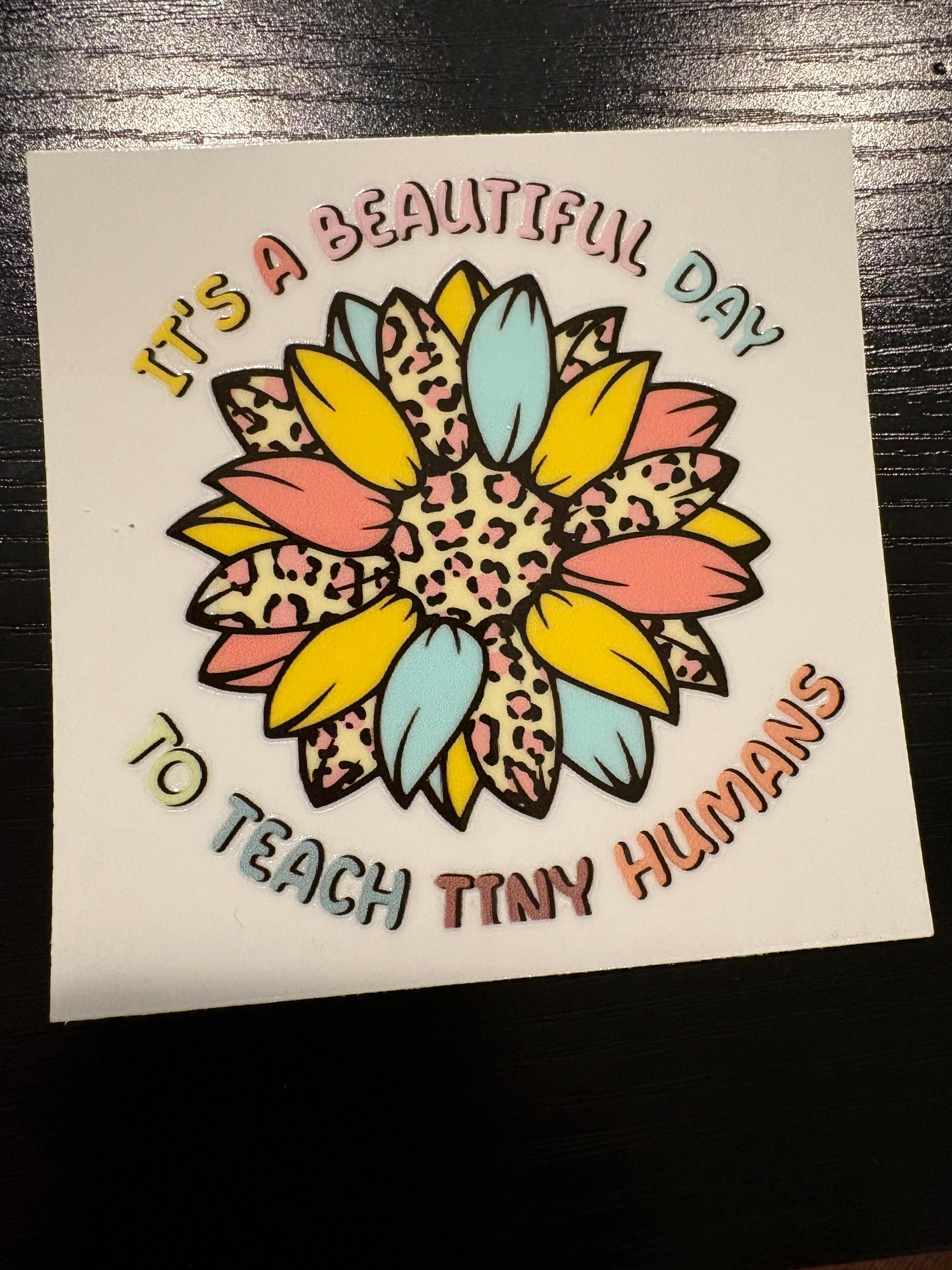 Cheetah Teacher Decals